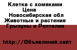 Клетка с хомяками › Цена ­ 700 - Новосибирская обл. Животные и растения » Грызуны и Рептилии   